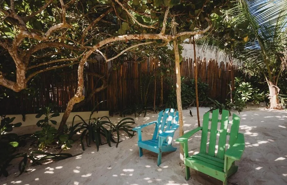 Σπίτι διακοπών Palms House Βίλα Τουλούμ