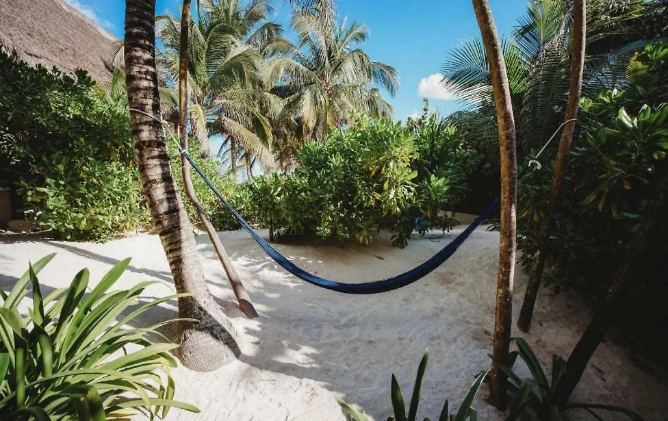 Villa Palms House Tulum