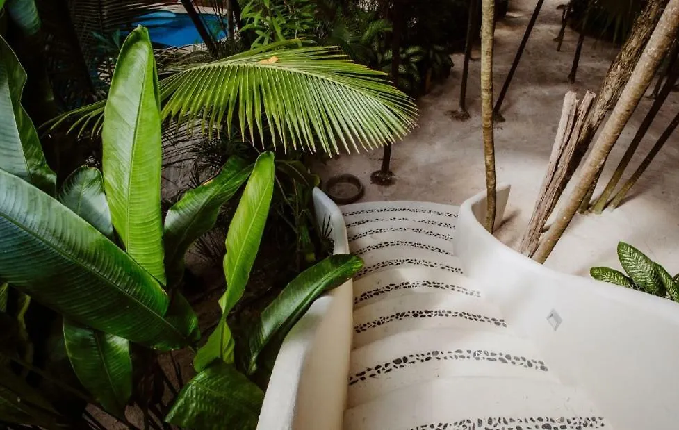 Casa vacanze Villa Palms House Tulum